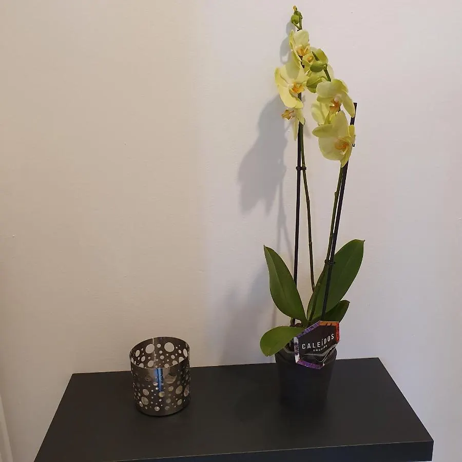 Tolstoj Apartment Milano